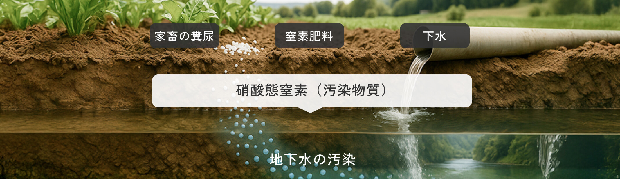 土壌と地下水の模式図