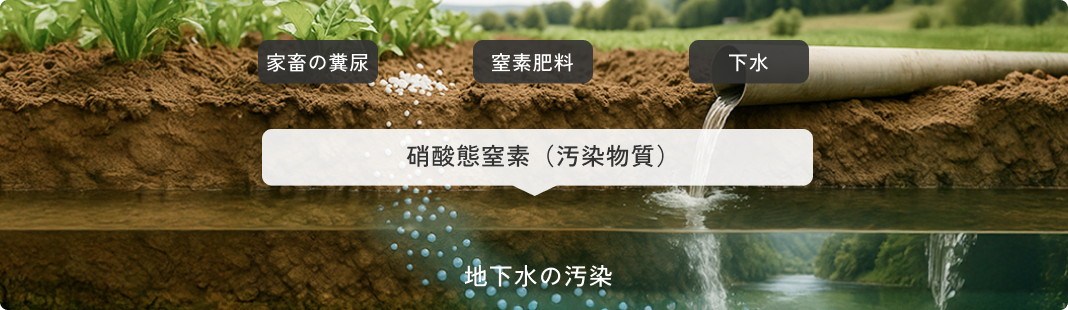 Groundwater contamination diagram